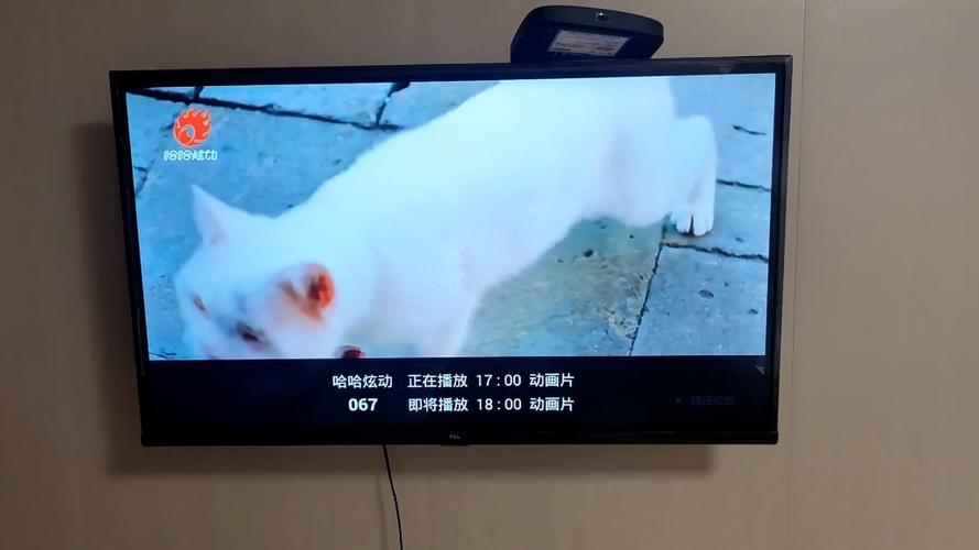 为什么机顶盒只能收到广播