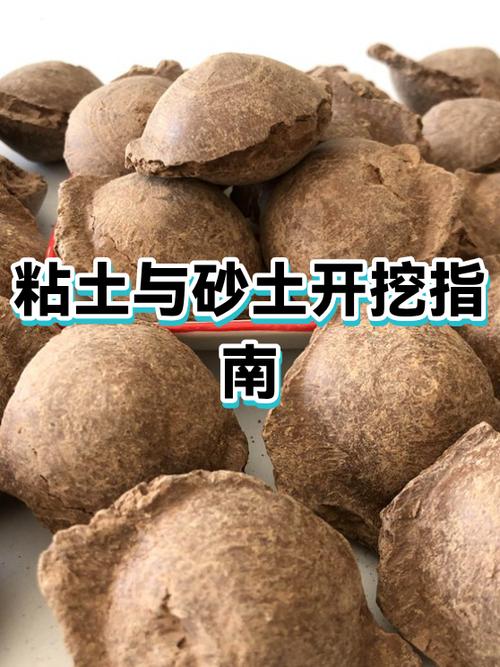 粘土一般在哪里挖mc