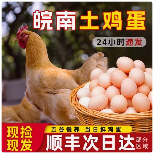 散养土鸡蛋的营养价值