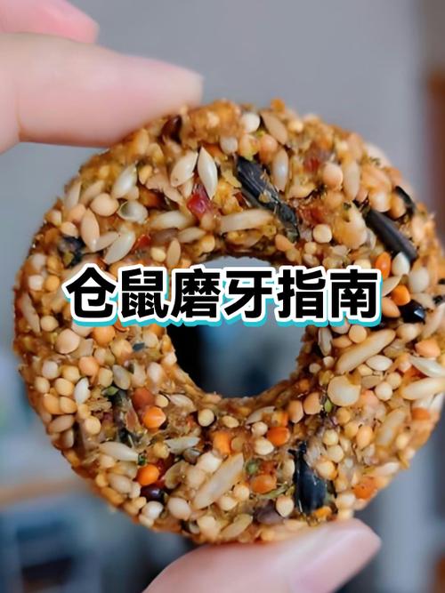 仓鼠妈妈总是叼宝宝怎么办