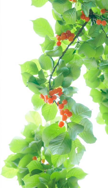 oppo锁屏界面广告怎么去掉