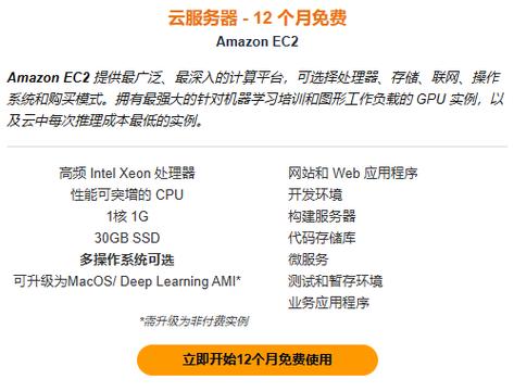 启用开发者选项