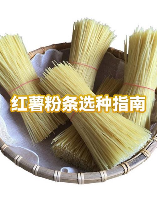 哪里的红薯粉条最好吃最正宗