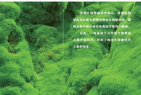 绿星球上长满了绿色的草阅读