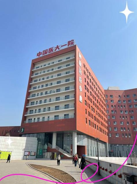 沈阳医大一院官网入口
