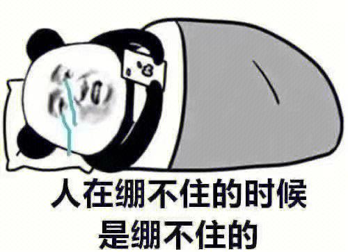 下次不会了表情包