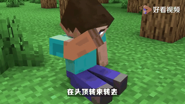 重生我的世界变成him的小说