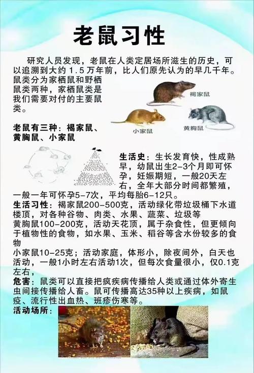 灭鼹鼠最好的办法