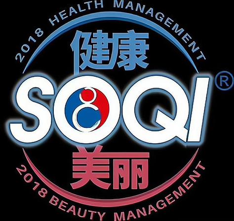 SOQI公司简介