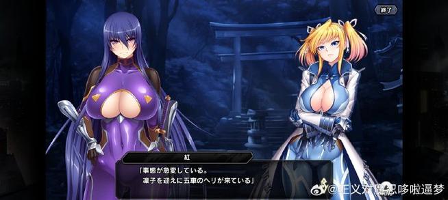 action对魔忍特派指令书怎么用