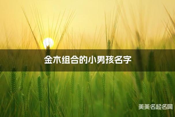 带金木最旺男孩名字