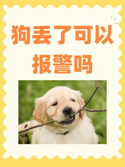 丢东西多久以后不能报警