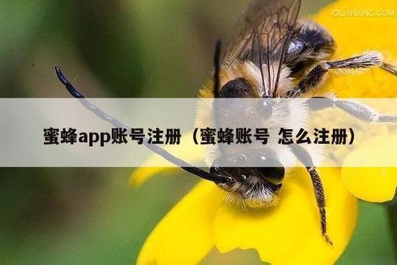 蜜蜂app怎么注册账号