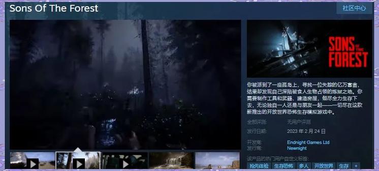 steam森林打折多少钱