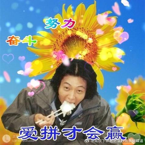 恶搞版爱拼才会赢