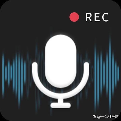 vivo手机怎么录制视频声音