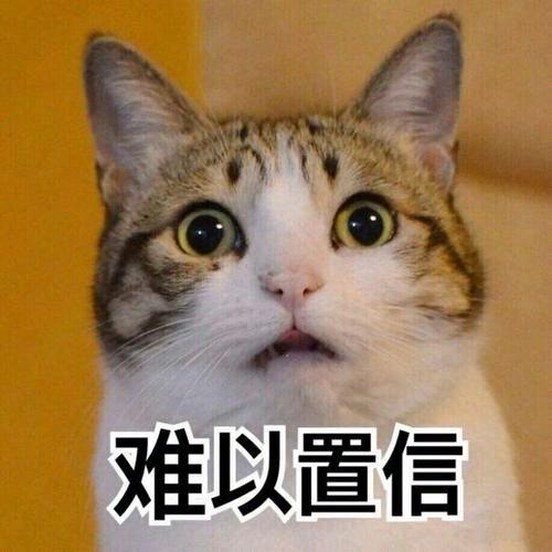 难以置信目瞪口呆表情截图1