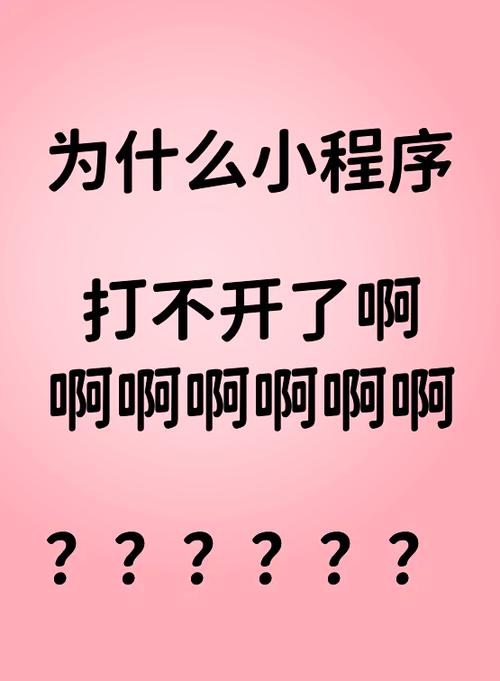 为什么小程序打不开