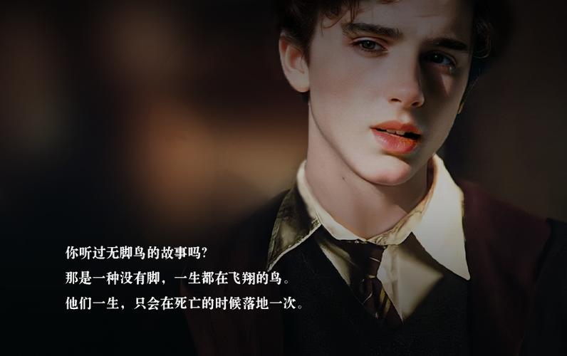 HP二次文明功略免费观看完整版