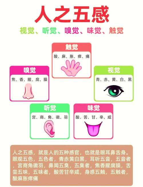 senseshield能卸载吗