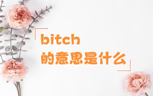 bitch和beach发音区别