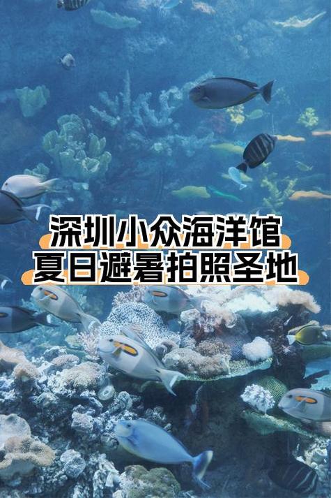 欢乐海岸海洋馆(海洋奇梦馆)怎么样