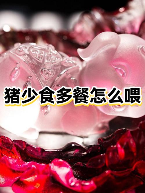 闪电能量餐好吗