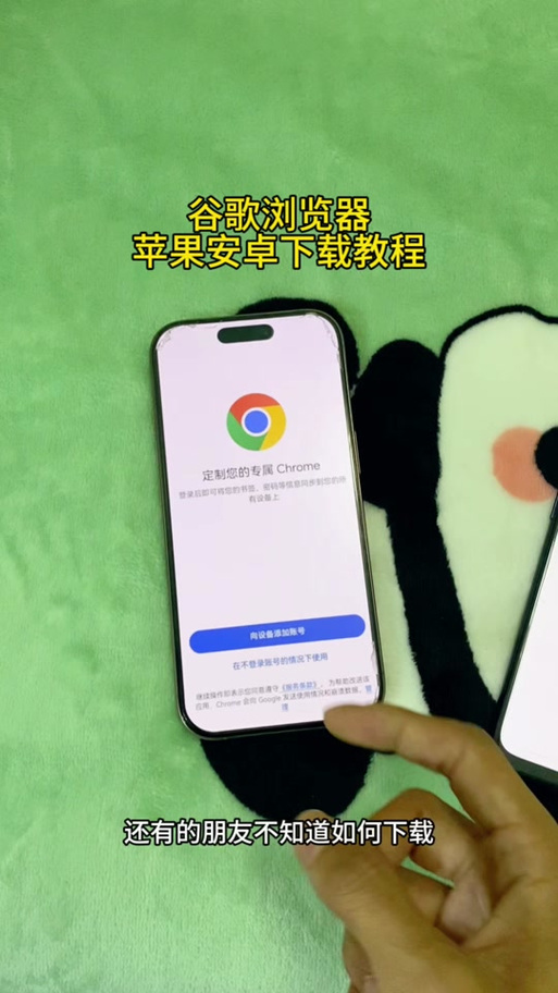 苹果手机的浏览器怎么使用