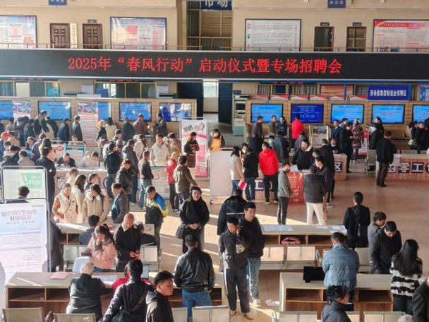 人才市场招聘市场