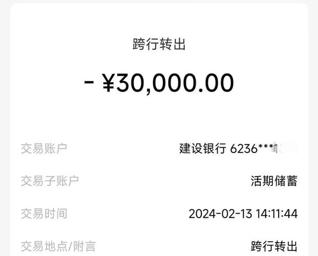 转账记录p图截图1