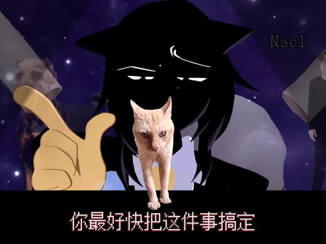 叉叉助手为啥不能用了