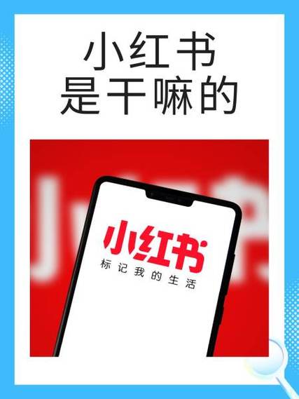 看小红书要收费吗