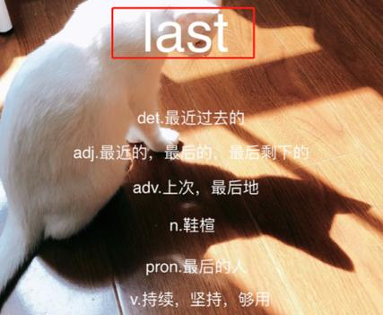 bu请翻译中文