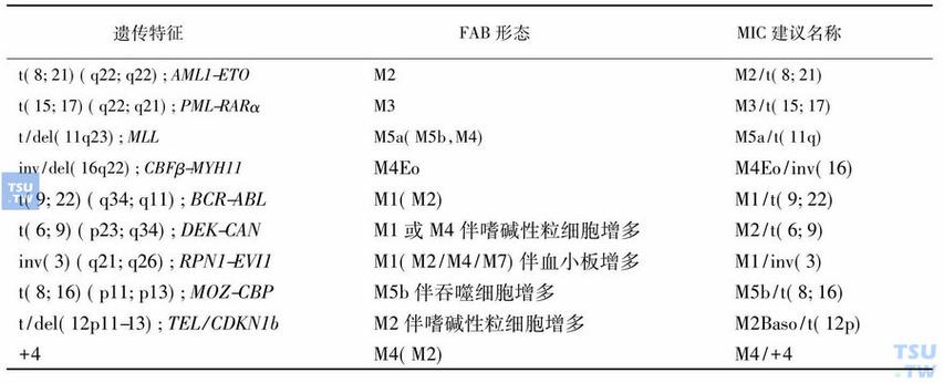 MIC输入插口的分类