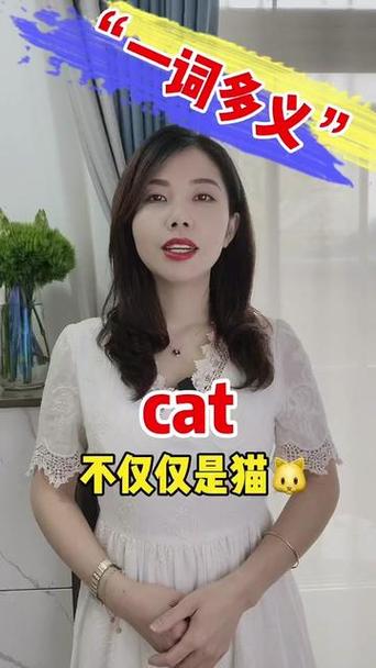 cat主要做什么