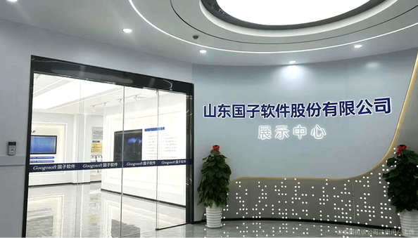 国子软件