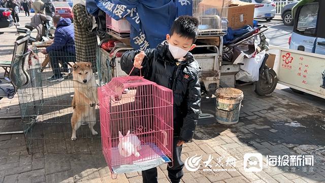 小鸟批发市场 10元