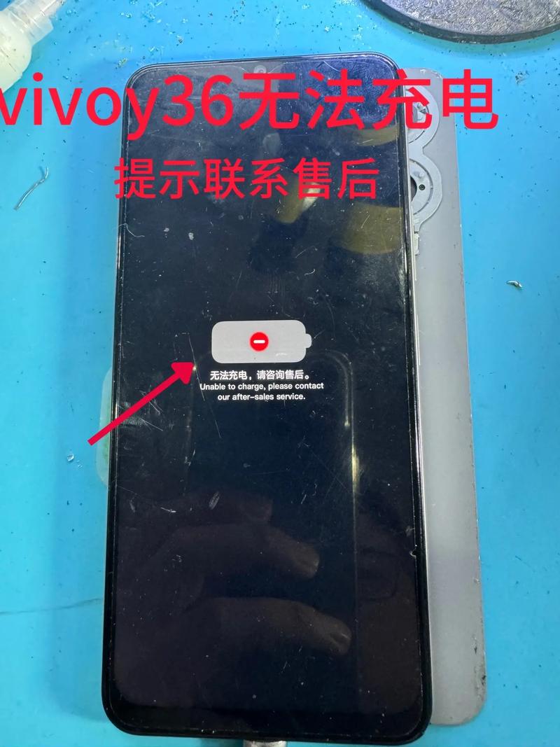 vivo手机为什么充不进去电