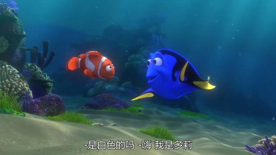 海底总动员国语版在线观看