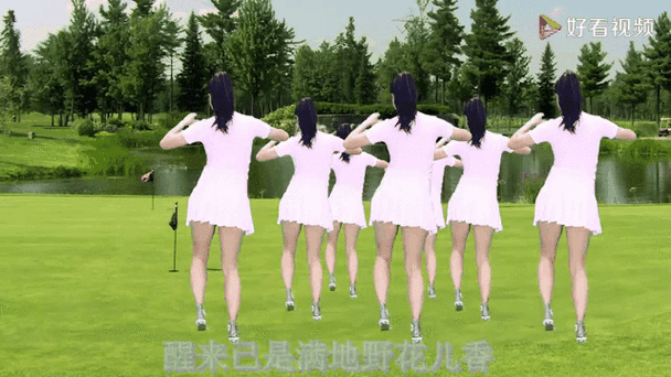 网络最火广场舞曲dj