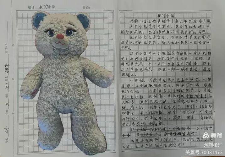 小熊娃娃作文