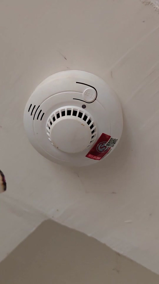 烟雾报警器是一闪一闪的吗