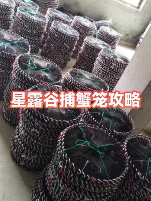 星露谷地下放捕蟹截图1