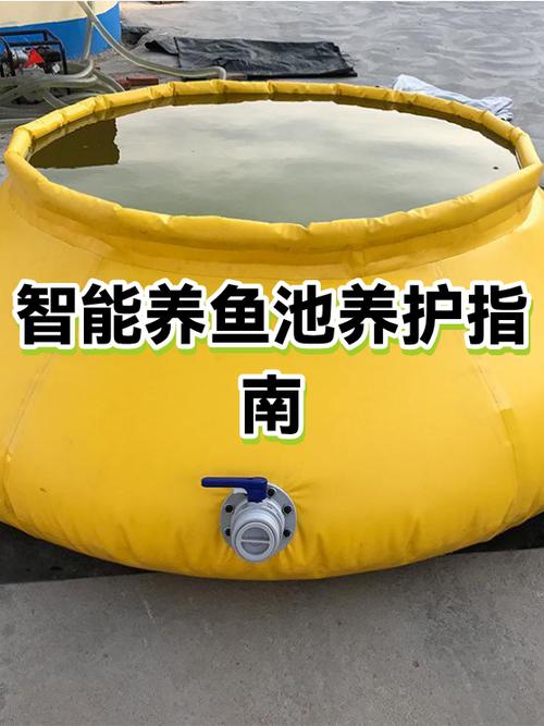 家庭鱼池