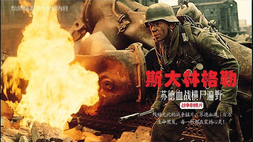 苏德大血战国语版在线观看