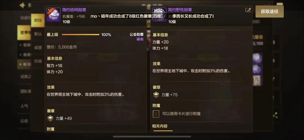DNF圣骑士公会勋章选择
