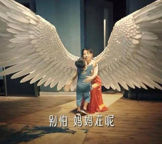 破碎的羽翼日剧