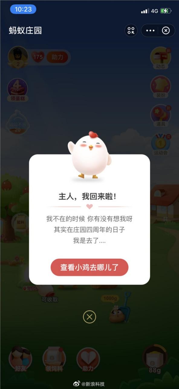 小鸡脸红是怎么回事截图3