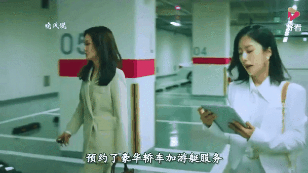 韩剧60天vip是谁
