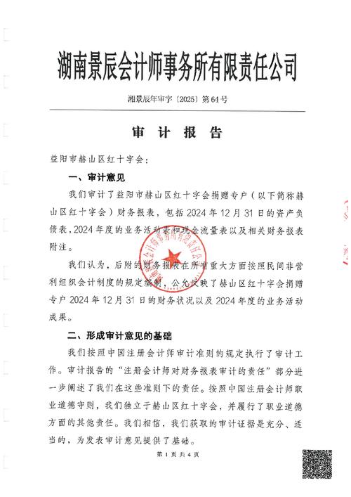 审计报告的类型